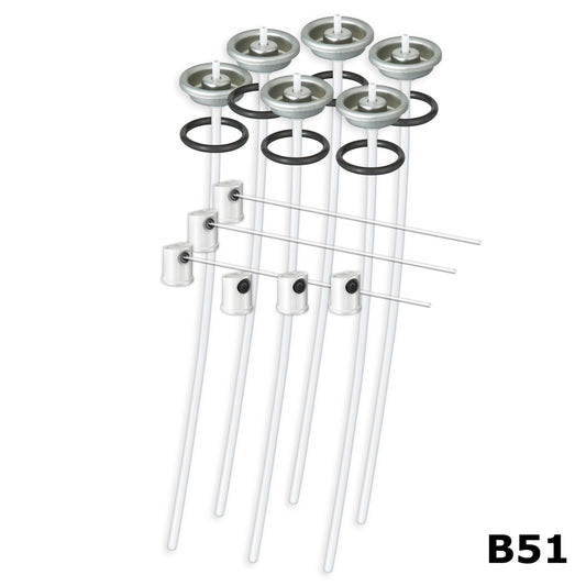 B51 Valve Replacements